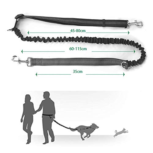 Correa de Jogging para Perros, Cinturón con Bolsa Compartimento y Correa elástica y Reflectante. Correa elástica para Correr o Caminar con el Perro, ideale per Jogging, Cani Walking Training Correa de Jogging para Perros, Cinturón con Bolsa Compartimento y Correa elástica y Reflectante. Correa elástica para Correr o Caminar con el Perro, ideale per Jogging, Cani Walking Training