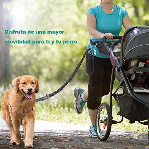 Correa de Jogging para Perros, Cinturón con Bolsa Compartimento y Correa elástica y Reflectante. Correa elástica para Correr o Caminar con el Perro, ideale per Jogging, Cani Walking Training