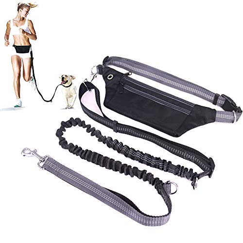Correa de Jogging para Perros, Cinturón con Bolsa Compartimento y Correa elástica y Reflectante. Correa elástica para Correr o Caminar con el Perro, ideale per Jogging, Cani Walking Training Correa de Jogging para Perros, Cinturón con Bolsa Compartimento y Correa elástica y Reflectante. Correa elástica para Correr o Caminar con el Perro, ideale per Jogging, Cani Walking Training