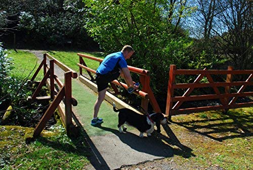 Correa Manos Libres para Correr con Perros. Cinturón para pasear Perros Correa Manos Libres para Correr con Perros. Cinturón para pasear Perros
