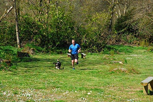 Correa Manos Libres para Correr con Perros. Cinturón para pasear Perros