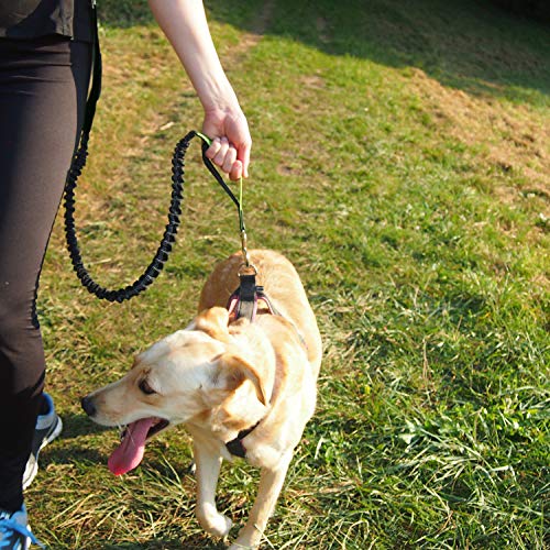 Correa perro correr I Correa perro cintura I Correa manos libres perro I Correa para perros grandes y medianos I Cinturón para perros I Silbato de perro gratis