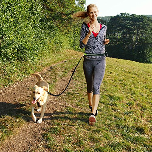 Correa perro correr I Correa perro cintura I Correa manos libres perro I Correa para perros grandes y medianos I Cinturón para perros I Silbato de perro gratis