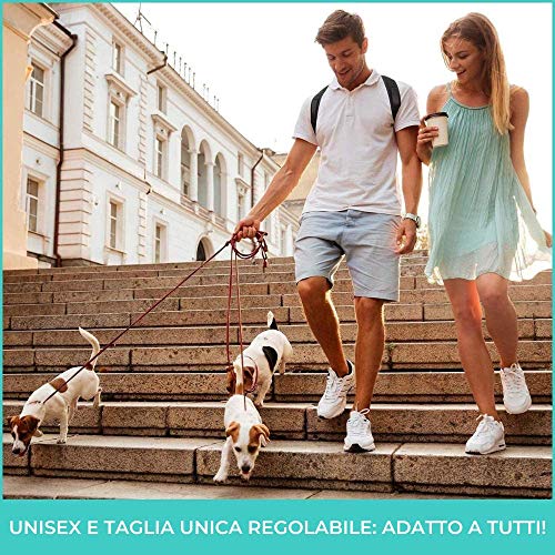 Corrector postural para hombre y mujer – Nueva oferta 2020: férula médica + banda elástica + dos almohadillas + ebook – Banda postural hombros y espalda – Corrector postural talla L unisex Corrector postural para hombre y mujer – Nueva oferta 2020: férula médica + banda elástica + dos almohadillas + ebook – Banda postural hombros y espalda – Corrector postural talla L unisex