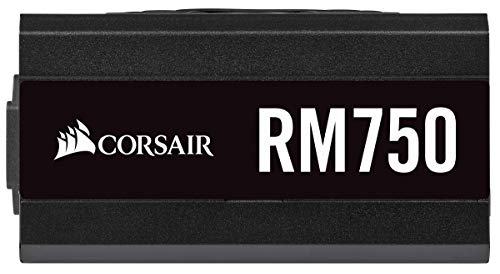 Corsair RM750 - Fuente de Alimentación (ATX Totalmente Modular, 80 Plus Gold, 750 W) color negro (CP-9020195-EU)