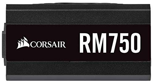 Corsair RM750 - Fuente de Alimentación (ATX Totalmente Modular, 80 Plus Gold, 750 W) color negro (CP-9020195-EU) Corsair RM750 - Fuente de Alimentación (ATX Totalmente Modular, 80 Plus Gold, 750 W) color negro (CP-9020195-EU)