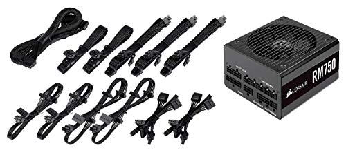 Corsair RM750 - Fuente de Alimentación (ATX Totalmente Modular, 80 Plus Gold, 750 W) color negro (CP-9020195-EU) Corsair RM750 - Fuente de Alimentación (ATX Totalmente Modular, 80 Plus Gold, 750 W) color negro (CP-9020195-EU)