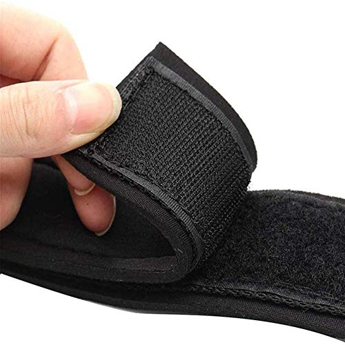 Cuerda De Entrenamiento De NatacióN, Bandas De Resistencia para NatacióN, Cuerda EláStica para Entrenamiento De Resistencia Estacionaria, Herramientas De Piscina.(Azul) Cuerda De Entrenamiento De NatacióN, Bandas De Resistencia para NatacióN, Cuerda EláStica para Entrenamiento De Resistencia Estacionaria, Herramientas De Piscina.(Azul)