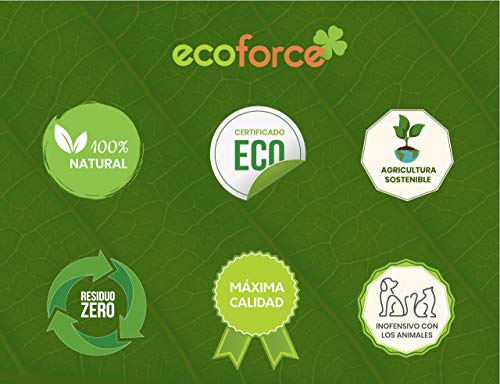 CULTIVERS Quelato de Hierro Fertilizante Ecológico de 1 Kg. Reverdeciente anticlorosis. Nutriente Fundamental para Las Plantas (6% Fe-EDDHA orto orto 4,8 % ). Force Fe CULTIVERS Quelato de Hierro Fertilizante Ecológico de 1 Kg. Reverdeciente anticlorosis. Nutriente Fundamental para Las Plantas (6% Fe-EDDHA orto orto 4,8 % ). Force Fe