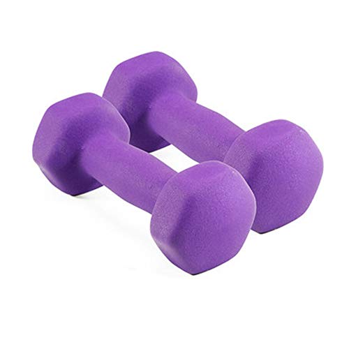 CYzpf Mancuernas Niños Inicio Entrenamiento de Fuerza Máquinas de Fitness Deportes Pesas para Gimnasio Accesorios de Aparatos Gimnasia,Purple,2 * 1kg