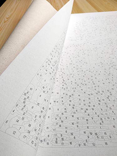 DAFFG Ballet Adelgaza Piernas Largas DIY Pintura por Números Kit, Pintar por Numeros sobre Lienzo para Adultos Principiantes 40X50Cm DAFFG Ballet Adelgaza Piernas Largas DIY Pintura por Números Kit, Pintar por Numeros sobre Lienzo para Adultos Principiantes 40X50Cm