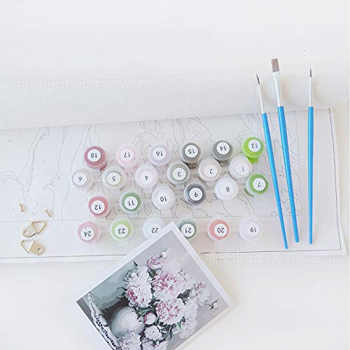 DAFFG Ballet Adelgaza Piernas Largas DIY Pintura por Números Kit, Pintar por Numeros sobre Lienzo para Adultos Principiantes 40X50Cm DAFFG Ballet Adelgaza Piernas Largas DIY Pintura por Números Kit, Pintar por Numeros sobre Lienzo para Adultos Principiantes 40X50Cm