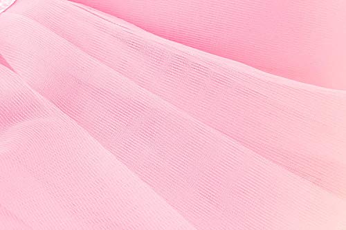Dancina Falda Tutú Clásica de Ballet para Bebés 6-24 Meses Rosado Claro Dancina Falda Tutú Clásica de Ballet para Bebés 6-24 Meses Rosado Claro