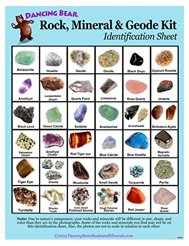 Dancing Bear's Rocks and Minerals Rock & Mineral Kit de Recogida con el Kit Actividad 2 de ruptura fácil geodas