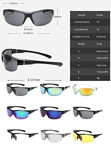 DAUCO Gafas de Sol Deportivas Polarizadas Para Hombre Perfectas Para Esquiar Golf Correr Ciclismo Súper Liviana Para Hombre y Para Mujer DAUCO Gafas de Sol Deportivas Polarizadas Para Hombre Perfectas Para Esquiar Golf Correr Ciclismo Súper Liviana Para Hombre y Para Mujer