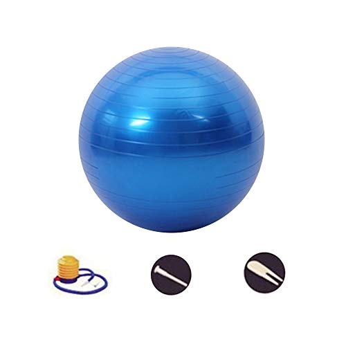 DAZISEN Pelota Fitness - Pelota de Ejercicio para Fitness (45-95 cm) Bola A Prueba de Explosiones para Yoga, Pilates, Fitness, Azul-2, 55CM