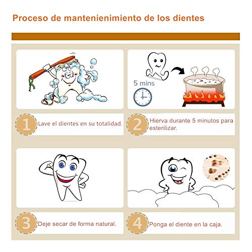 DEAROPE Caja de Dientes, Caja para Dientes en Español de Leche, Caja de Madera para Guardar Dientes (Niño)