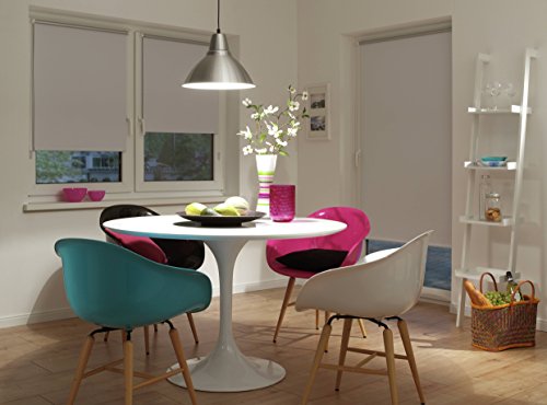 Deco Company Estor térmico con Parte Trasera térmica para Pinzas, máxima Reflejo de luz, Ahorro de energía, Opaco, Todas Las Piezas de Montaje Incluidas, Blanco, 65 x 150 cm (Ancho x Alto) Deco Company Estor térmico con Parte Trasera térmica para Pinzas, máxima Reflejo de luz, Ahorro de energía, Opaco, Todas Las Piezas de Montaje Incluidas, Blanco, 65 x 150 cm (Ancho x Alto)