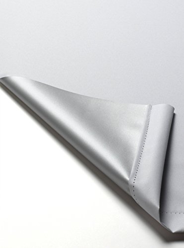 Deco Company Estor térmico con Parte Trasera térmica para Pinzas, máxima Reflejo de luz, Ahorro de energía, Opaco, Todas Las Piezas de Montaje Incluidas, Blanco, 65 x 150 cm (Ancho x Alto) Deco Company Estor térmico con Parte Trasera térmica para Pinzas, máxima Reflejo de luz, Ahorro de energía, Opaco, Todas Las Piezas de Montaje Incluidas, Blanco, 65 x 150 cm (Ancho x Alto)