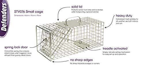 Defenders Animal Trap Cage - (Trampa humana fácil de colocar para ardillas y fauna silvestre de tamaño similar, adecuada para uso en interiores y exteriores) - Tamaño pequeño Defenders Animal Trap Cage - (Trampa humana fácil de colocar para ardillas y fauna silvestre de tamaño similar, adecuada para uso en interiores y exteriores) - Tamaño pequeño