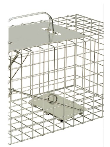 Defenders Animal Trap Cage - (Trampa humana fácil de colocar para ardillas y fauna silvestre de tamaño similar, adecuada para uso en interiores y exteriores) - Tamaño pequeño Defenders Animal Trap Cage - (Trampa humana fácil de colocar para ardillas y fauna silvestre de tamaño similar, adecuada para uso en interiores y exteriores) - Tamaño pequeño