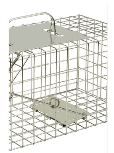 Defenders Animal Trap Cage - (Trampa humana fácil de colocar para ardillas y fauna silvestre de tamaño similar, adecuada para uso en interiores y exteriores) - Tamaño pequeño