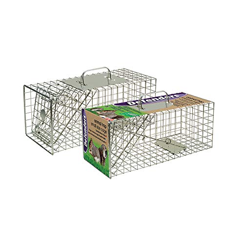 Defenders Animal Trap Cage - (Trampa humana fácil de colocar para ardillas y fauna silvestre de tamaño similar, adecuada para uso en interiores y exteriores) - Tamaño pequeño Defenders Animal Trap Cage - (Trampa humana fácil de colocar para ardillas y fauna silvestre de tamaño similar, adecuada para uso en interiores y exteriores) - Tamaño pequeño