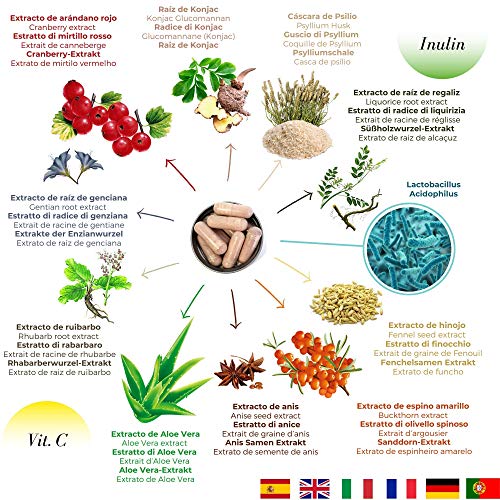 Detox Plus - Complemento alimentício natural con 13 ingredientes para auxiliar en el proceso depurativo natural del cuerpo Detox Plus - Complemento alimentício natural con 13 ingredientes para auxiliar en el proceso depurativo natural del cuerpo