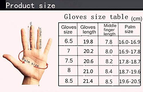 Dgtyui Guantes para Mujer de un Solo Pecho, sección Delgada, Moda, Remache Hueco, Estilo Primavera y Verano, conducción, conducción, Guantes de Conductor - púrpura X 7 1/2 Dgtyui Guantes para Mujer de un Solo Pecho, sección Delgada, Moda, Remache Hueco, Estilo Primavera y Verano, conducción, conducción, Guantes de Conductor - púrpura X 7 1/2