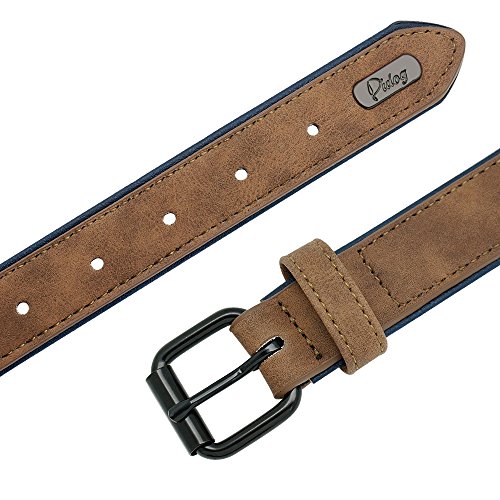 Didog - Collar de piel suave acolchada personalizable para perro, chapa de nombre, anilla en D, collar grabado para perro, tamaños pequeño, mediano y grande Didog - Collar de piel suave acolchada personalizable para perro, chapa de nombre, anilla en D, collar grabado para perro, tamaños pequeño, mediano y grande