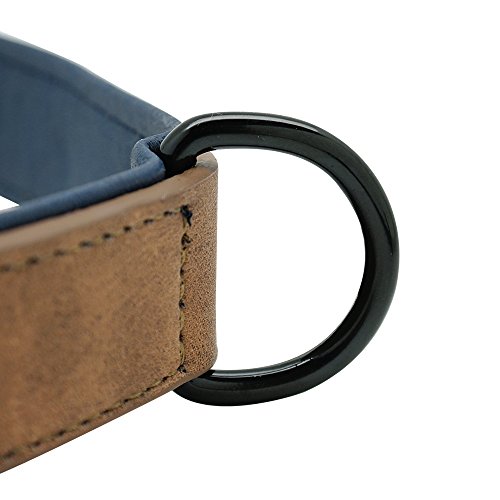 Didog - Collar de piel suave acolchada personalizable para perro, chapa de nombre, anilla en D, collar grabado para perro, tamaños pequeño, mediano y grande Didog - Collar de piel suave acolchada personalizable para perro, chapa de nombre, anilla en D, collar grabado para perro, tamaños pequeño, mediano y grande