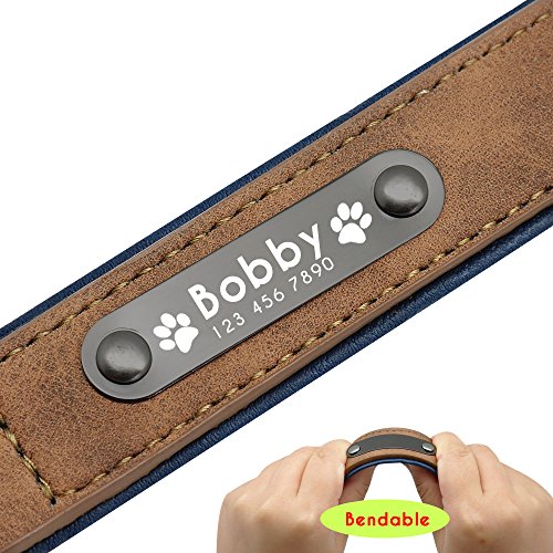 Didog - Collar de piel suave acolchada personalizable para perro, chapa de nombre, anilla en D, collar grabado para perro, tamaños pequeño, mediano y grande Didog - Collar de piel suave acolchada personalizable para perro, chapa de nombre, anilla en D, collar grabado para perro, tamaños pequeño, mediano y grande