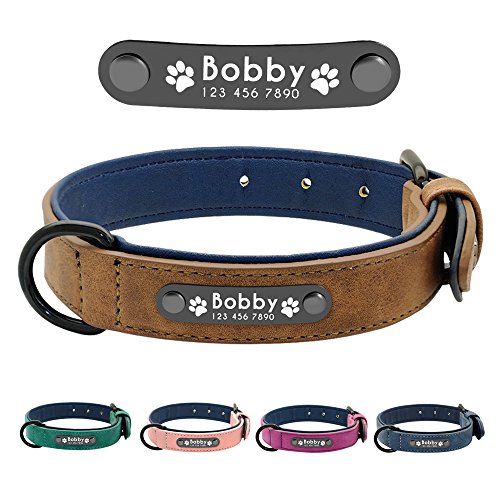 Didog - Collar de piel suave acolchada personalizable para perro, chapa de nombre, anilla en D, collar grabado para perro, tamaños pequeño, mediano y grande Didog - Collar de piel suave acolchada personalizable para perro, chapa de nombre, anilla en D, collar grabado para perro, tamaños pequeño, mediano y grande
