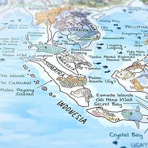 Dive Map by Awesome Maps - Mapa mundial ilustrado para los aficionados al buceo - reescribible - 97.5 x 56 cm Dive Map by Awesome Maps - Mapa mundial ilustrado para los aficionados al buceo - reescribible - 97.5 x 56 cm