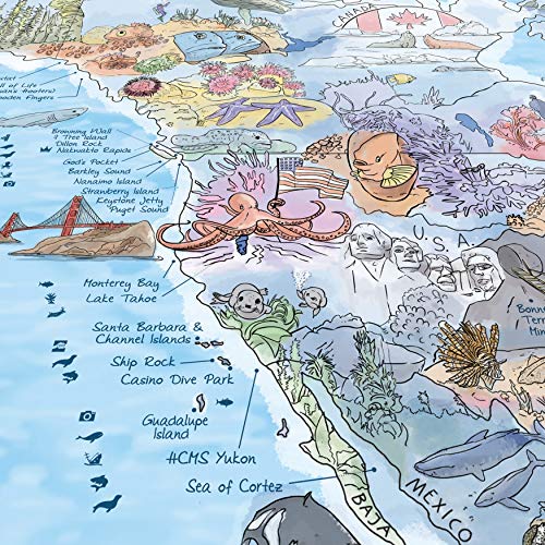 Dive Map by Awesome Maps - Mapa mundial ilustrado para los aficionados al buceo - reescribible - 97.5 x 56 cm