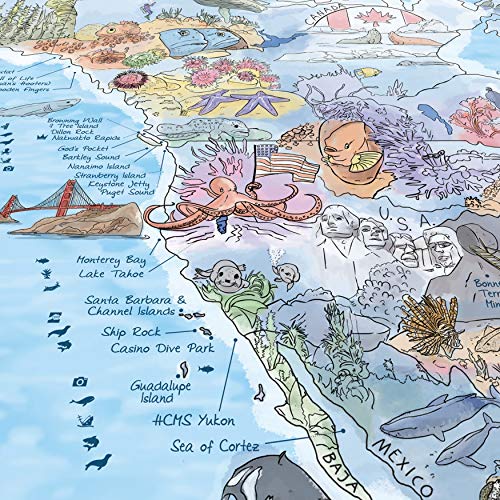 Dive Map by Awesome Maps - Mapa mundial ilustrado para los aficionados al buceo - reescribible - 97.5 x 56 cm Dive Map by Awesome Maps - Mapa mundial ilustrado para los aficionados al buceo - reescribible - 97.5 x 56 cm