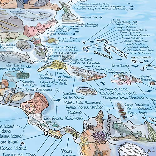 Dive Map by Awesome Maps - Mapa mundial ilustrado para los aficionados al buceo - reescribible - 97.5 x 56 cm