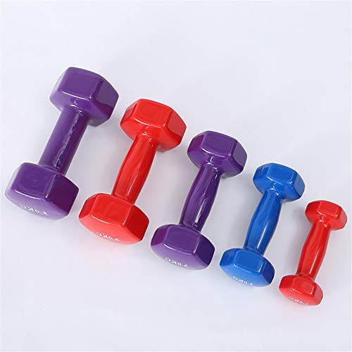 DIYARTS Universal Dip Dumbbell 1KG / 1.5KG Lady Sports Color Fitness Dumbbell Small Women's Fitness Equipment for Yoga, Thin Arm Home Exercise (1.5KG)