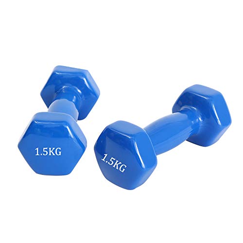 DIYARTS Universal Dip Dumbbell 1KG / 1.5KG Lady Sports Color Fitness Dumbbell Small Women's Fitness Equipment for Yoga, Thin Arm Home Exercise (1.5KG)