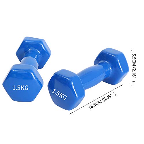 DIYARTS Universal Dip Dumbbell 1KG / 1.5KG Lady Sports Color Fitness Dumbbell Small Women's Fitness Equipment for Yoga, Thin Arm Home Exercise (1.5KG) DIYARTS Universal Dip Dumbbell 1KG / 1.5KG Lady Sports Color Fitness Dumbbell Small Women's Fitness Equipment for Yoga, Thin Arm Home Exercise (1.5KG)