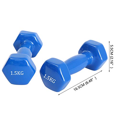 DIYARTS Universal Dip Dumbbell 1KG / 1.5KG Lady Sports Color Fitness Dumbbell Small Women's Fitness Equipment for Yoga, Thin Arm Home Exercise (1.5KG)