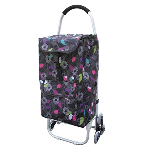 DJY-JY Cesta de la Compra, Carrito Plegable portátil, pequeño Carro, Carro de Ancianos, casa rodante, Bolsillo Oxford, Detachable.Size: 45 * 35 * 98cm.