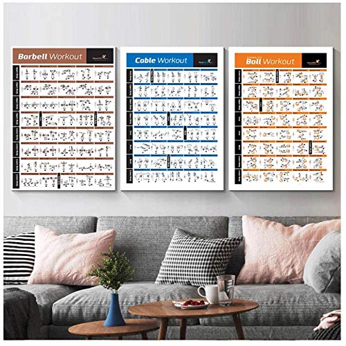 DLFALG Culturismo Gimnasio Deporte Fitness Dumbbell Poster Kettlebell Workout Ejercicio Tabla de entrenamiento Art Wall Poster Print Home Decor-40x60cmx3 Sin marco