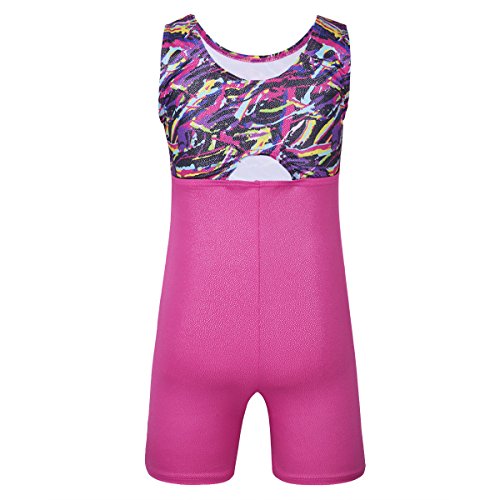 DoGeek Maillot Gimnasia Ritmica Niña Leotardos Gimnasia 3-10 años para Niña (sin Mangas/Manga Larga) DoGeek Maillot Gimnasia Ritmica Niña Leotardos Gimnasia 3-10 años para Niña (sin Mangas/Manga Larga)