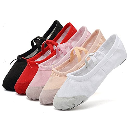 DoGeek Transpirable Zapatos de Ballet Zapatillas de Ballet de Danza Baile para Niña (25 EU, Rosa 2)