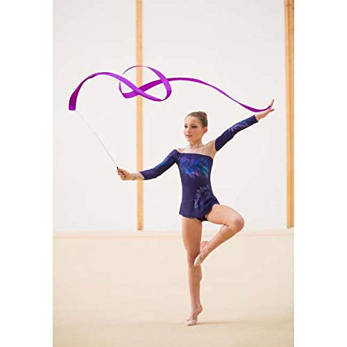 Domyos Cinta de gimnasia rítmica de 6 metros, color lila Domyos Cinta de gimnasia rítmica de 6 metros, color lila