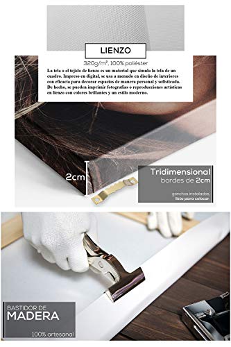 DON LETRA Silueta Femenina - Juego de 3 Cuadros para Decoración de Salón y Dormitorio, Arte Moderno, 150 x 70 x 2 cm, Lienzo 100% Poliéster con Bastidor de Madera, Blanco y Negro, LZ-C3-003 DON LETRA Silueta Femenina - Juego de 3 Cuadros para Decoración de Salón y Dormitorio, Arte Moderno, 150 x 70 x 2 cm, Lienzo 100% Poliéster con Bastidor de Madera, Blanco y Negro, LZ-C3-003