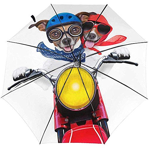 Dos Gafas motorizadas Perros Impreso Paraguas de Viaje a Prueba de Viento Paraguas automáticos Toldo Reforzado, Auto Abrir/Cerrar