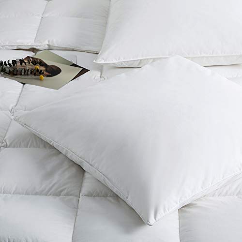 Downcy - Almohadas de pluma y plumón de ganso, funda de algodón, 80 x 80 cm (paquete de 2) Downcy - Almohadas de pluma y plumón de ganso, funda de algodón, 80 x 80 cm (paquete de 2)