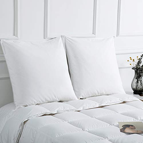Downcy - Almohadas de pluma y plumón de ganso, funda de algodón, 80 x 80 cm (paquete de 2) Downcy - Almohadas de pluma y plumón de ganso, funda de algodón, 80 x 80 cm (paquete de 2)